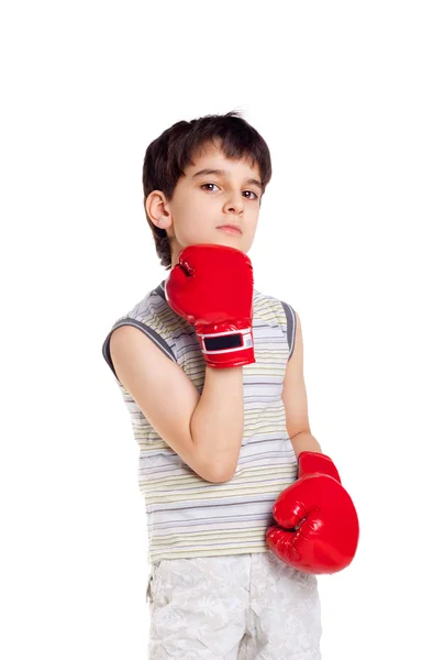 Pequeño boxeador — Foto de Stock