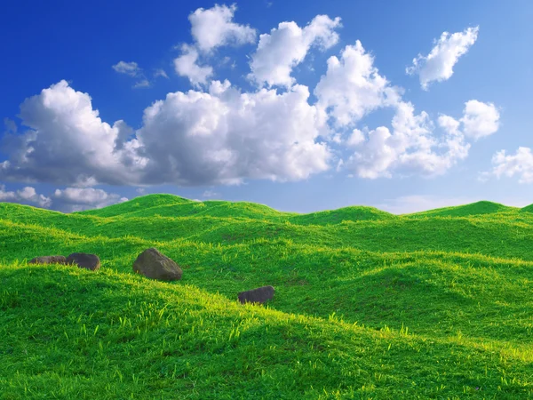 ท้องฟ้าสีฟ้าและหญ้า — ภาพถ่ายสต็อก