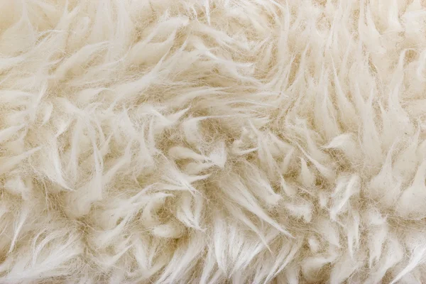Texture di pelliccia di pecora. Macro. — Foto Stock