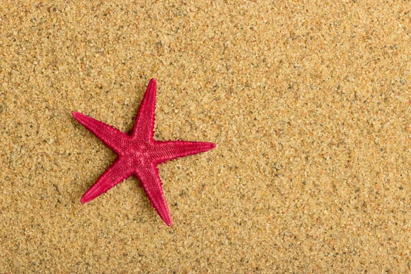 Estrella de mar en la arena dorada limpia —  Fotos de Stock
