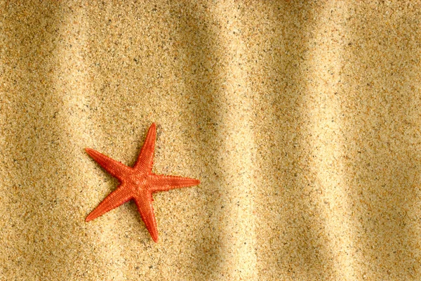 Deniz yıldızı temiz altın kum üzerinde — Stok fotoğraf