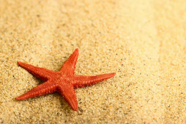 Estrella de mar en la arena dorada limpia —  Fotos de Stock