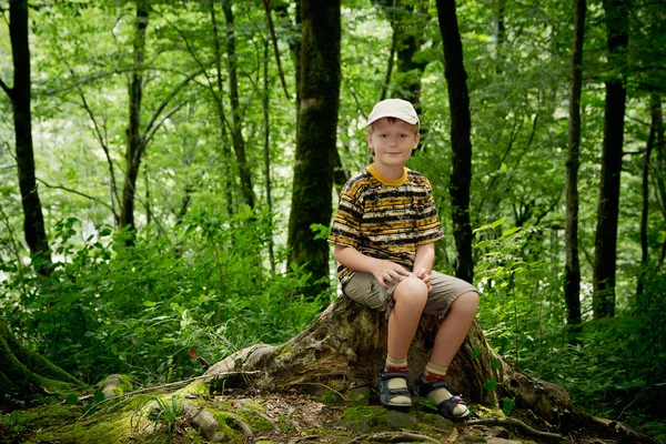En pojke sitter i vilda skogen på en stubbe och leenden — Stockfoto