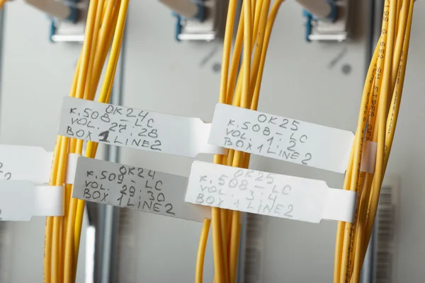 Detalle de un moderno equipo de comunicaciones instalado en un gran centro de datos . —  Fotos de Stock