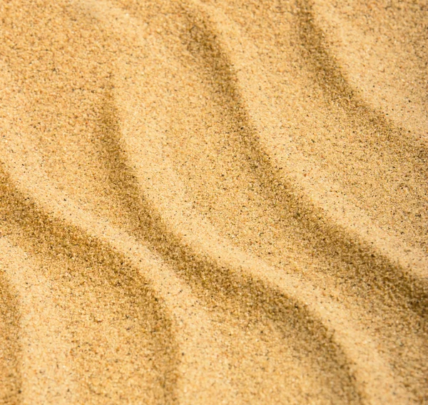 Abstract background. Pure golden sand. Wind and water have created a small dune. — Stock Photo, Image