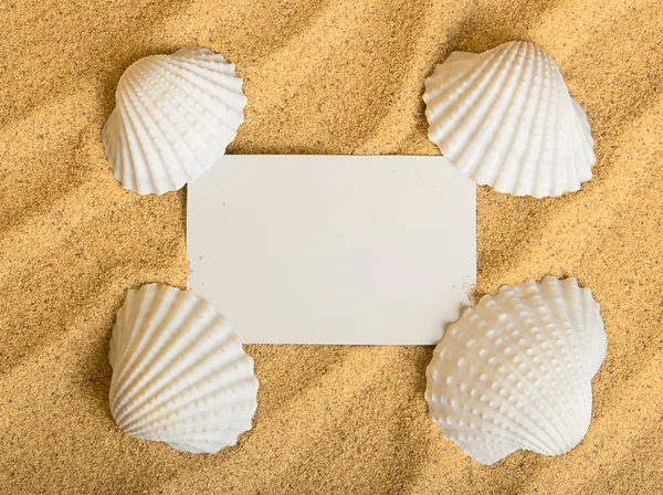 Conchas marinas que yacen sobre la arena dorada pura con tarjeta blanca. Macro. Copiar espacio . — Foto de Stock