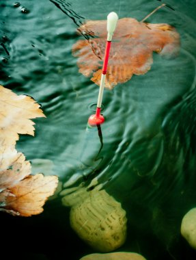 sonbahar balıkçılık. Bobber float su sarı yapraklar.