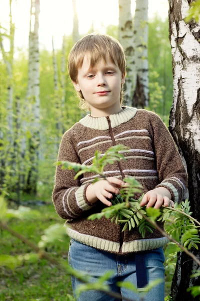 Leende liten pojke i soliga våren björkskog — Stockfoto