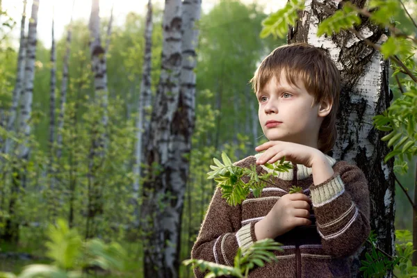 Little boy in spring birch forest with palm has covered a birch branch — Stock Photo, Image