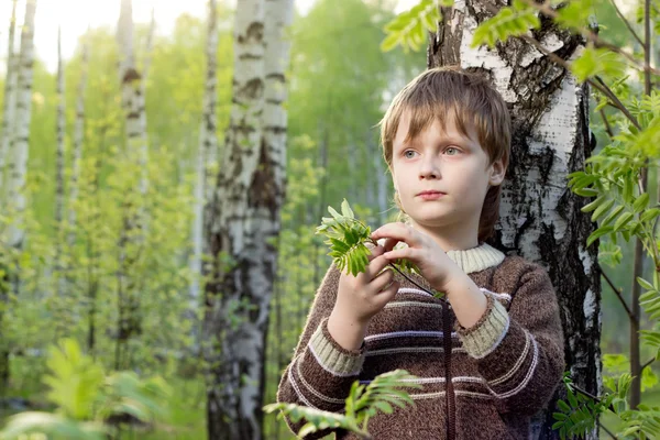 Little boy in spring birch forest with palm has covered a birch branch — Stock Photo, Image