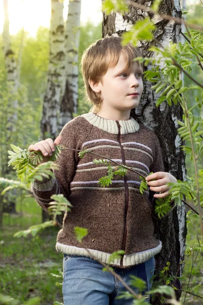 Μικρό αγόρι στο δάσος σημύδας άνοιξη — Φωτογραφία Αρχείου