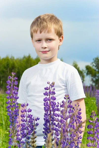 Schattige jongen in lupine veld in zonnige dag — Stockfoto