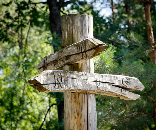 Old, made ​​from wood with a crack, index in old forest. — Stock Photo, Image