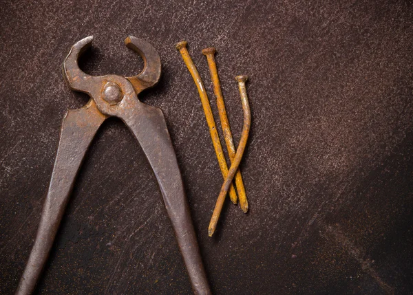 Old vintage clip with nails on the grunge rusty background with copy-space — Stock Photo, Image