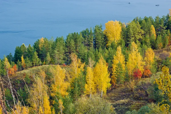 Excellent autumn landscape with yellow, red and green leaves on the trees.