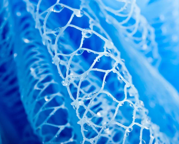 Stock image Abstract macro photo of massage blue bath sponge with water drops.