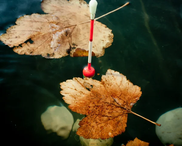 Pesca de otoño. Bobina flotante en agua con hojas amarillas . — Foto de Stock