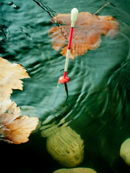 Autumn fishing. Bobber float in water with yellow leafs. — Stock Photo, Image