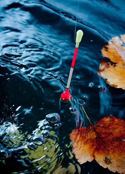 Herfst visserij. Bobber float in water met gele bladeren. — Stockfoto