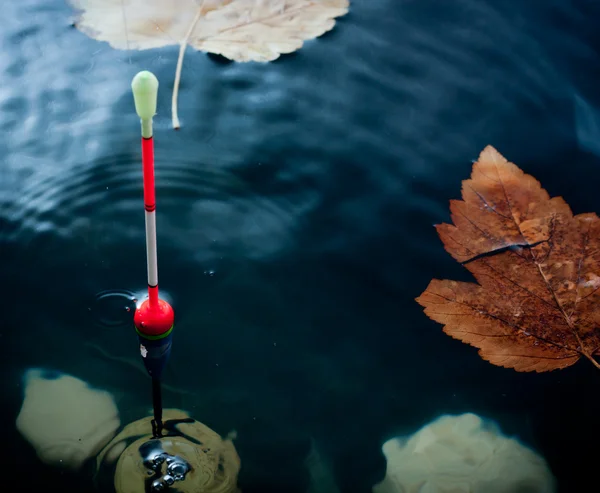 Autumn fishing. Bobber float in water with yellow leafs. — Stock Photo, Image