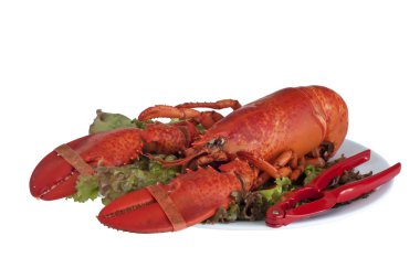 Lobster dinner clipart