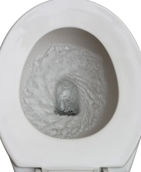 Flushed toilet Stock Image