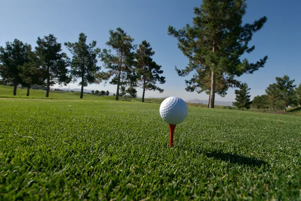 Golf ball op rode tee — Stockfoto