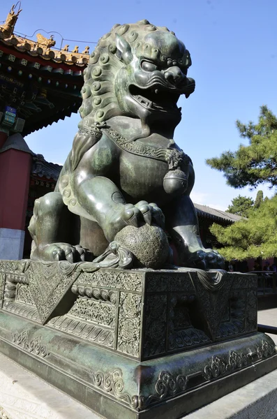 Čínská socha lva — Stock fotografie