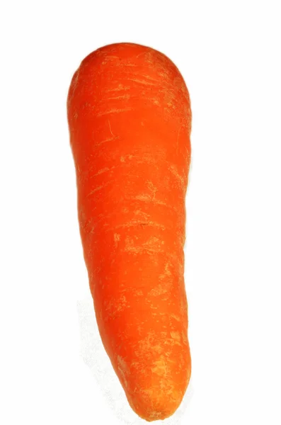 stock image An isolated carrot