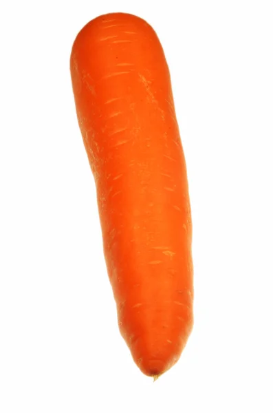 Een geïsoleerde wortel — Stockfoto