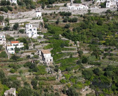 Amalfi Coast Terraces clipart