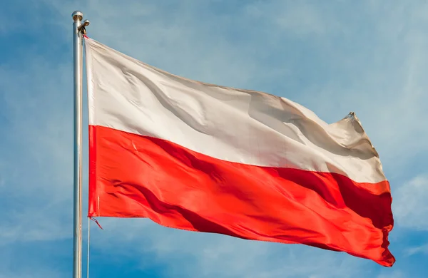 Vlajka z Polska — Stock fotografie