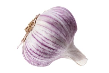 Garlic clipart