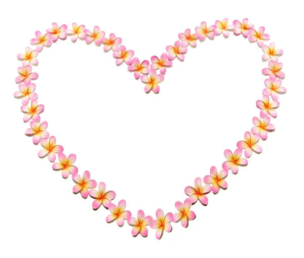 Szív alakú rendezett frangipáni — Stock Fotó