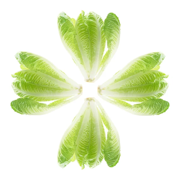 Cos saláta — Stock Fotó