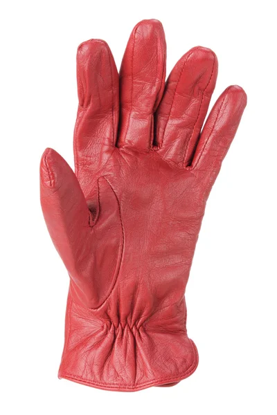 Lady's Glove — Stock Photo, Image