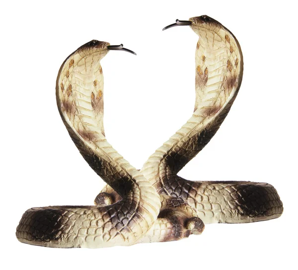 Rubber Cobras — Stock Photo, Image