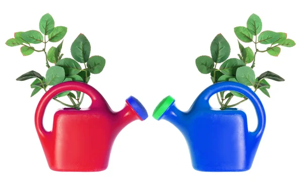 Watering Cans — Stock Photo, Image