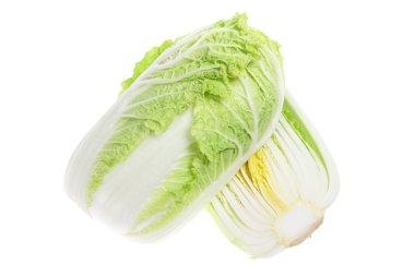 Chinese Cabbage clipart