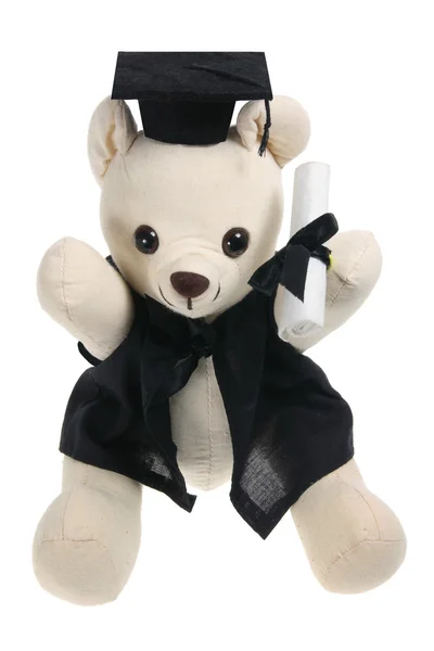 Urso de graduação de brinquedo — Fotografia de Stock
