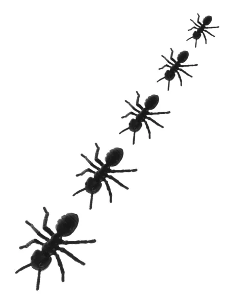 Rij van speelgoed mieren — Stockfoto