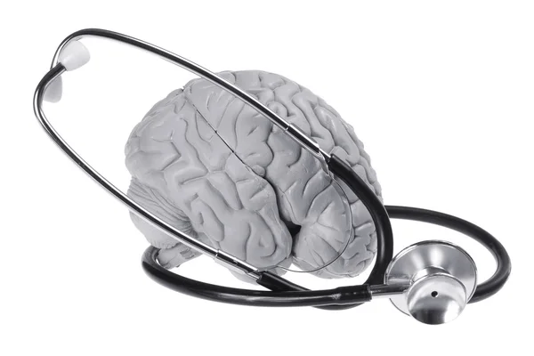 Образец мозга и стетоскоп — стоковое фото
