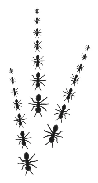 Линии игрушечных муравьев — стоковое фото