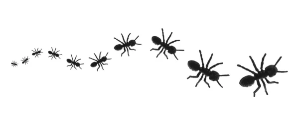 Lijn van speelgoed mieren — Stockfoto