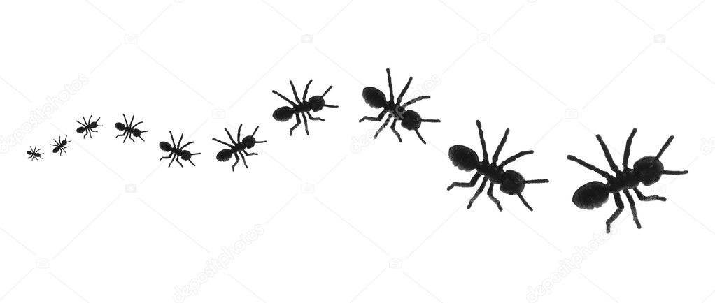 Line of Toy Ants