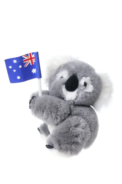 Μαλακό παιχνίδι koala Εικόνα Αρχείου