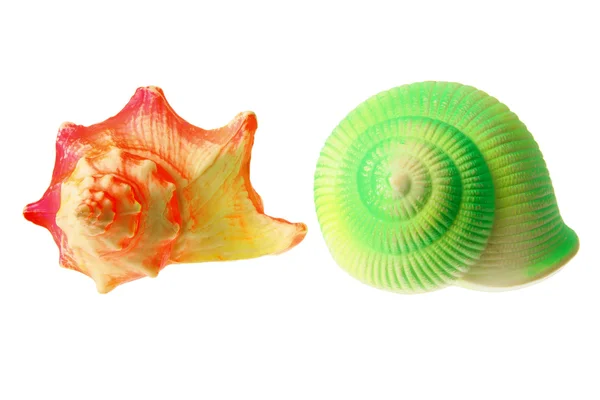Colored Seashells — Stock Photo, Image