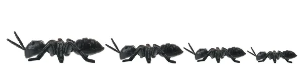 Линия игрушечных муравьев — стоковое фото