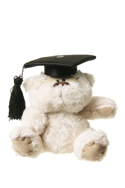 Soft Toy Graduation Bear — Stock Photo, Image