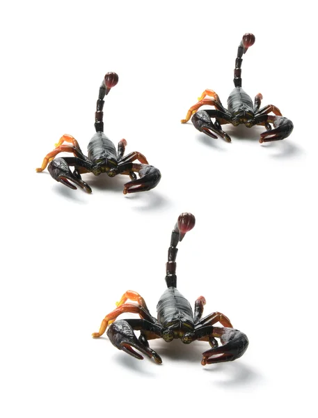 玩具蝎子 — 图库照片